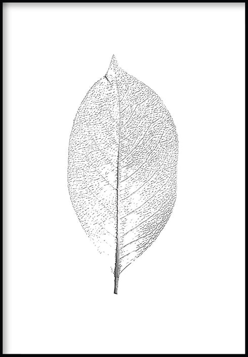 Foglia d'argento reale poster